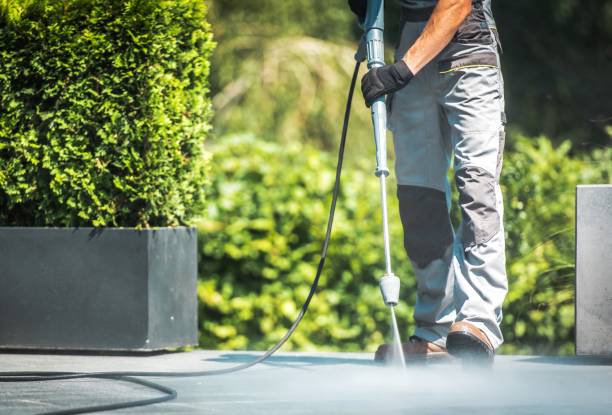 Best Pool Deck Cleaning in Ellijay, GA