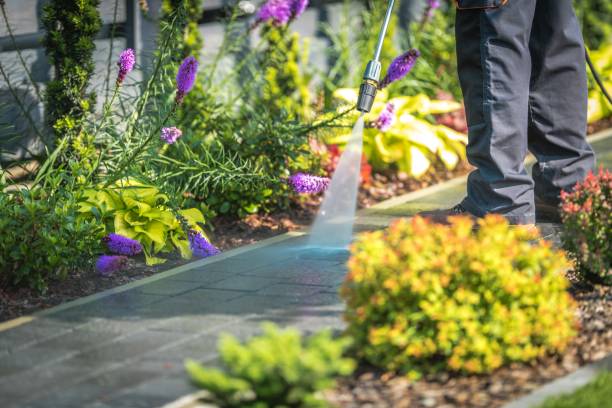 Best Parking Lot Cleaning in Ellijay, GA