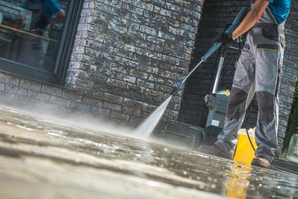 Best Driveway Cleaning and Restoration in Ellijay, GA