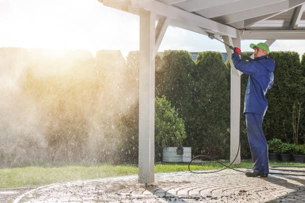 Best Window and Screen Pressure Cleaning in Ellijay, GA